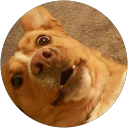 Dana Ciszewski profile picture